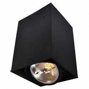 Накладной светильник Cardani A5936PL-1BK Arte Lamp